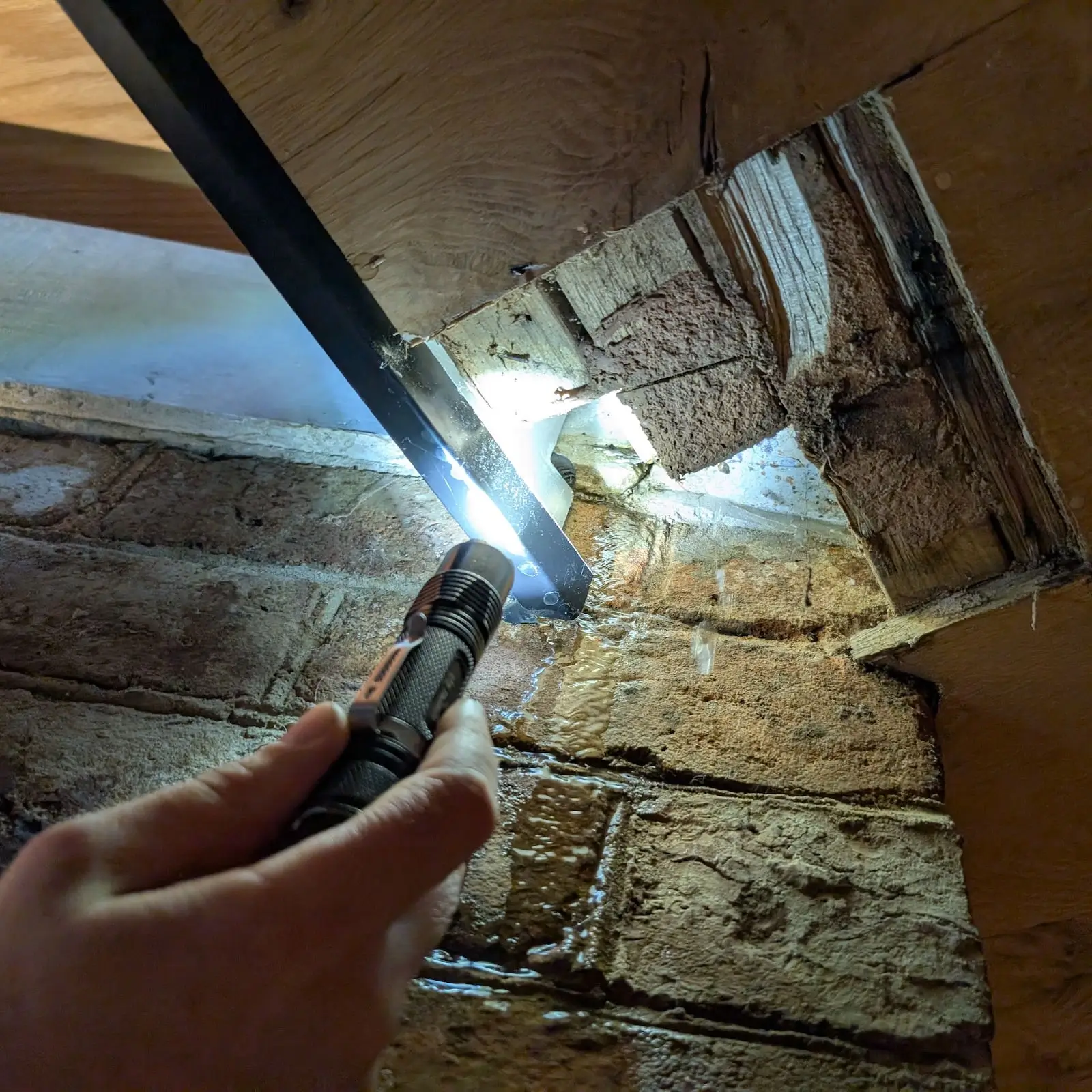 Water ingress and leak detection assessment